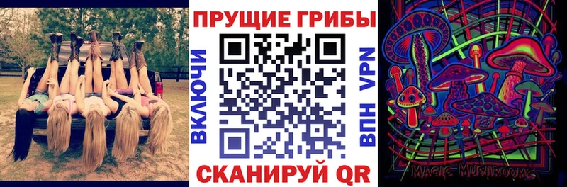 Псилоцибиновые грибы Magic Shrooms  цены наркотик  Камбарка 
